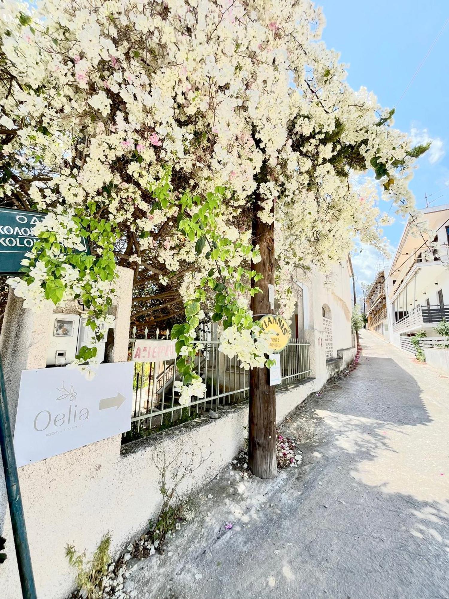 Oelia Rooms & Apartments Agia Marina  Dış mekan fotoğraf